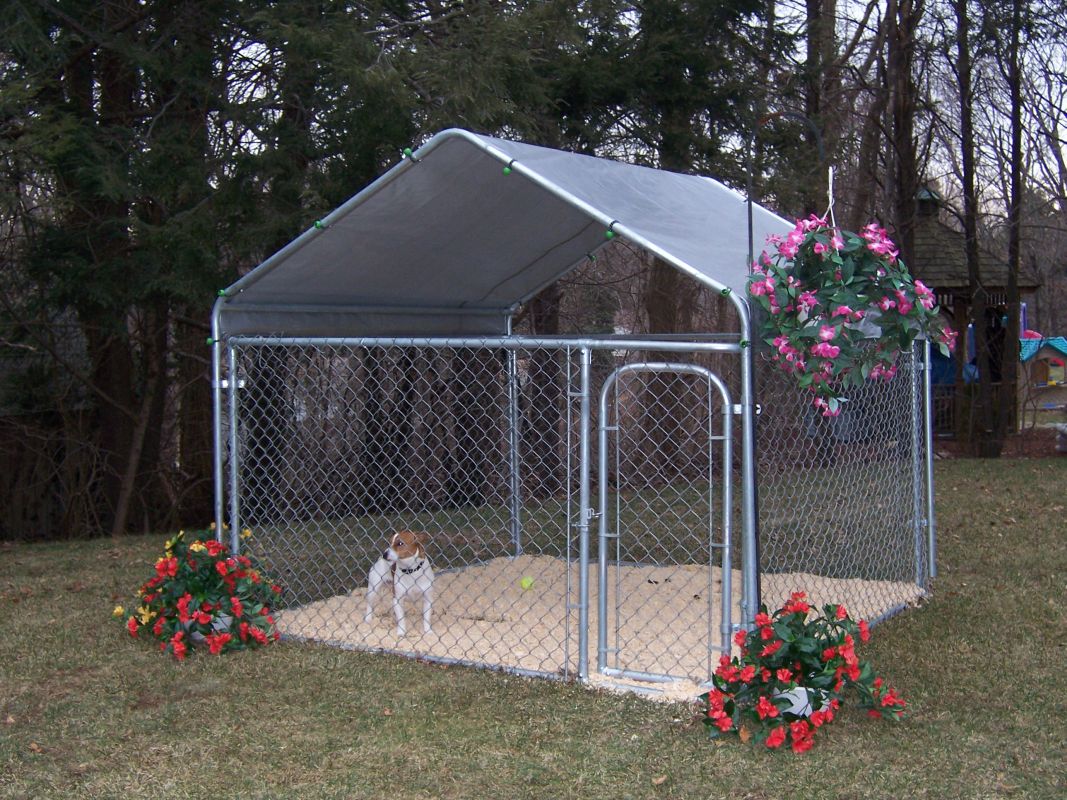 Weatherguard complete covered dog kennels - 7'6x7'6x4'